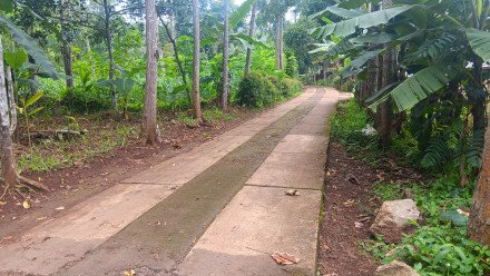 Album : PEMBANGUNAN HOTMIX JALAN DESA KP.CIBITUNG 0 PRSN